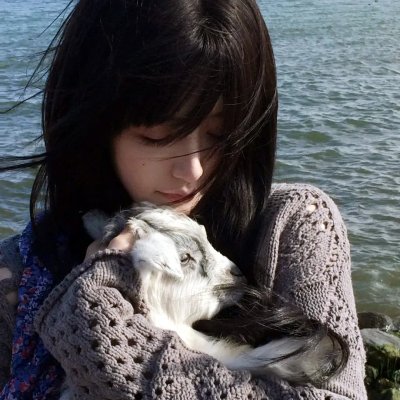 蓬莱龙棺之徐福宝藏