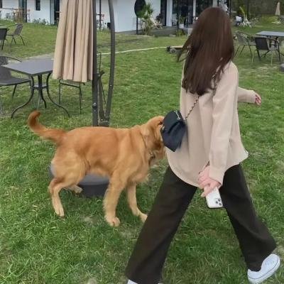 血仍未冷